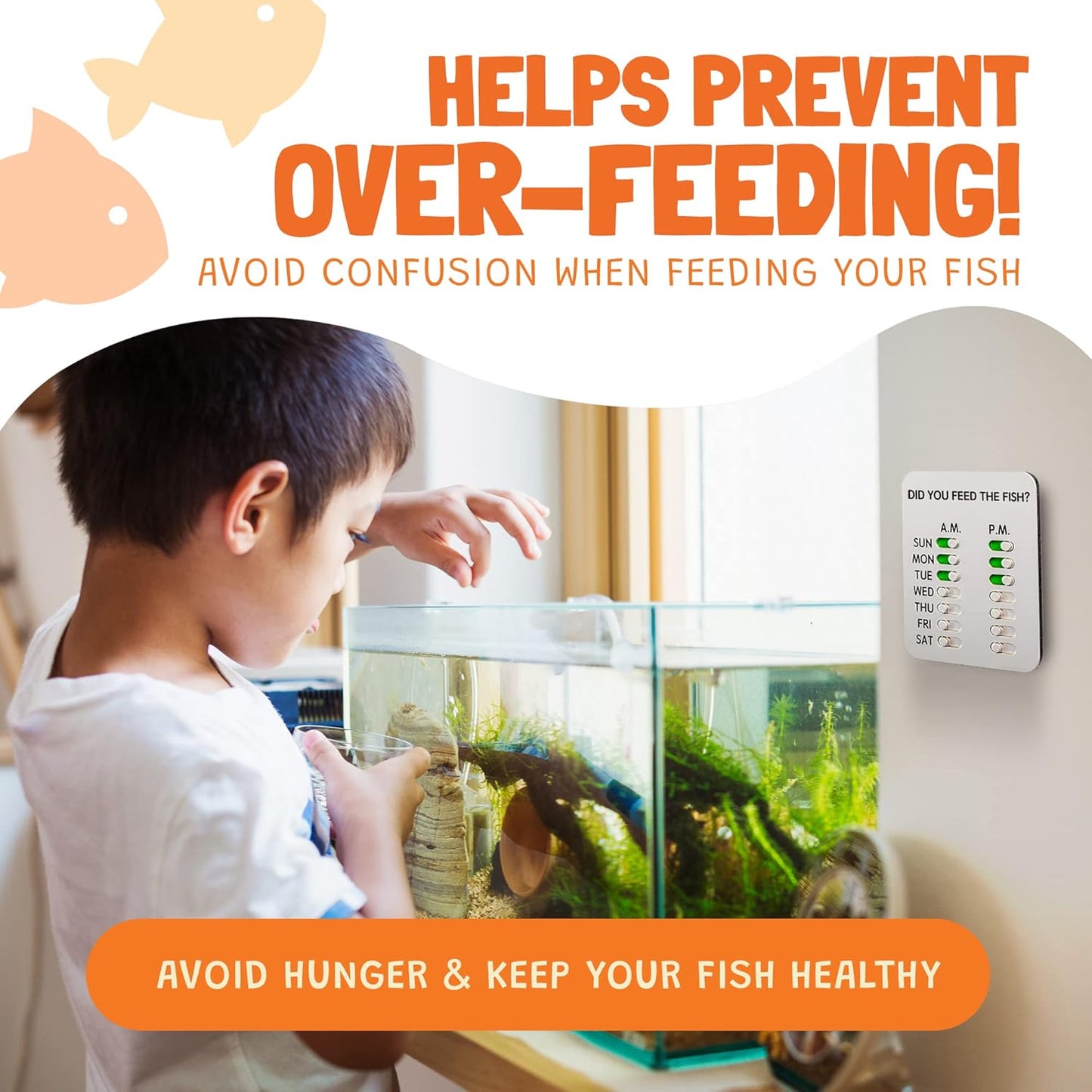 Did You Feed the Fish?